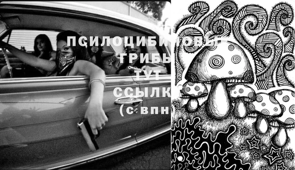 молекула духа Бородино