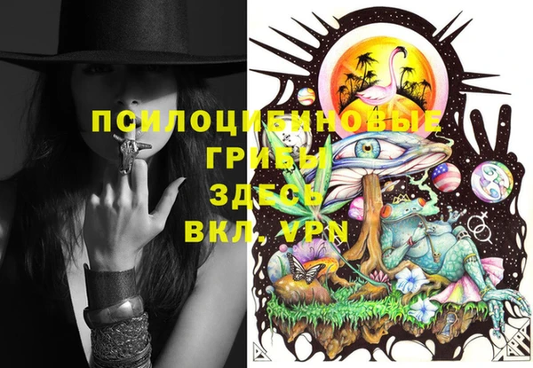 молекула духа Бородино