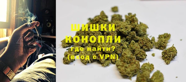 шишки Бугульма