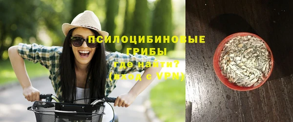 шишки Бугульма
