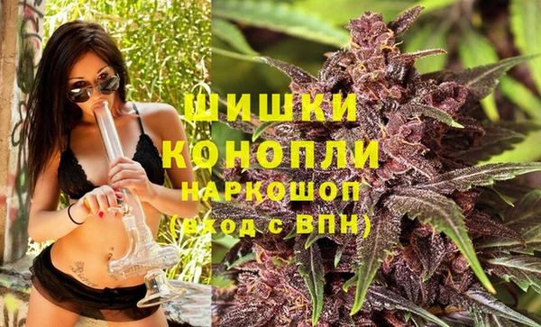 молекула духа Бородино
