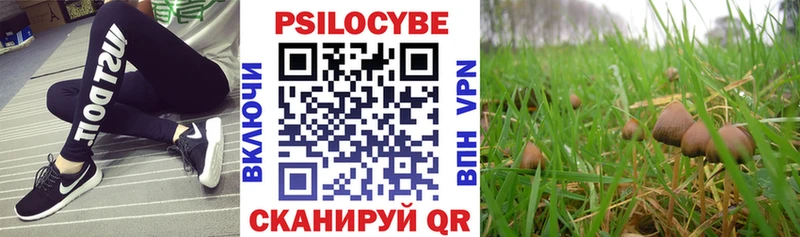 Галлюциногенные грибы прущие грибы  Дигора 