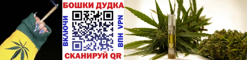 Шишки марихуана MAZAR Дигора